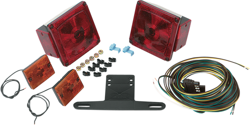 Replacement Taillight - Right