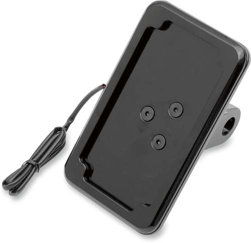 Vertical License Plate Mount with Light - 05+ XL - Black