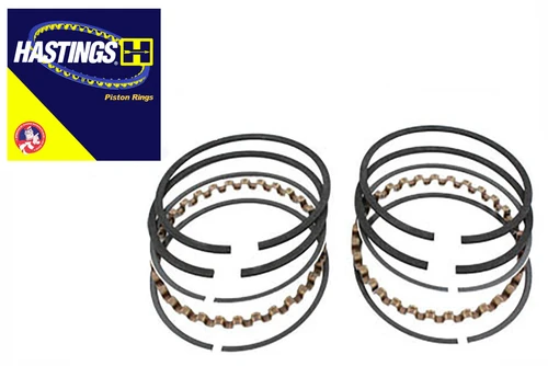 Hastings Rings #4244-STD - Hastings Piston Ring Set Standard