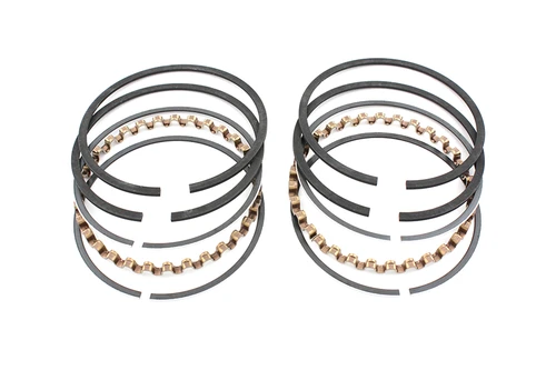 Hastings Rings #4244-020 - Hastings Piston Ring Set .020 Oversize