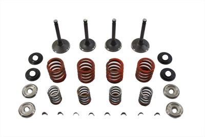 Sifton - Nitrate Valve and Spring Kit