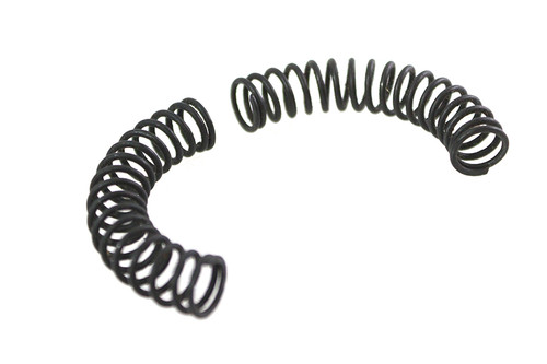 V-Twin - Pawl Carrier Spring Set