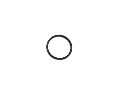 Eastern - Front Brake Piston O-Ring