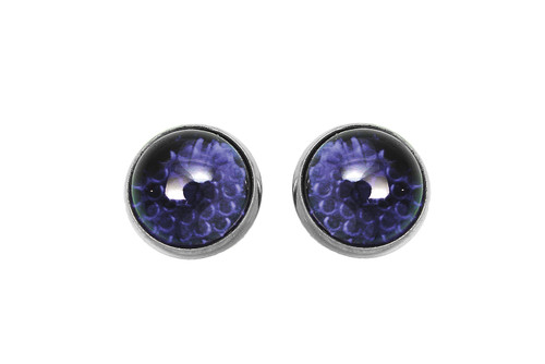 V-Twin - License Plate Frame Reflectors Blue Glass