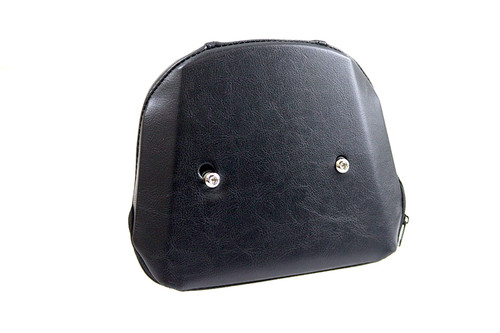 Corbin Gentry #80198 - Passenger Backrest Pad