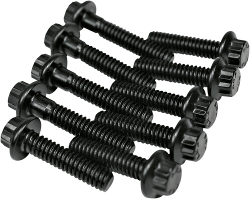 Oil Pump Bolt Kit - Twin Cam