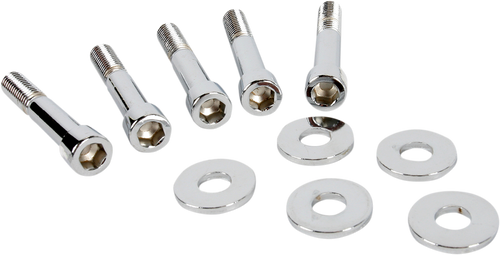 Pulley Bolts - 00-06 Softail