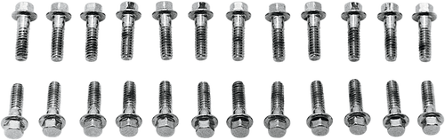 Screws Valve Cover Chrome