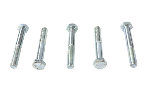 V-Twin - Hex Cap Bolts Zinc 5/16 inch X 2-1/4 inch