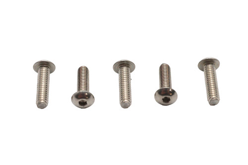 Colony - Allen Button Head Screws Stainless Steel 1/4-20 X 7/8 inch