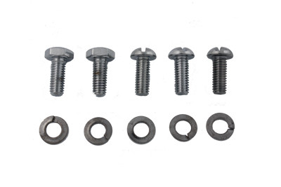 Colony - Chrome Circuit Breaker Screws