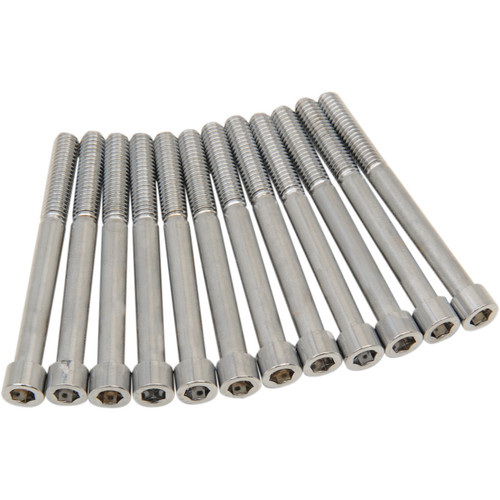 Drag Specialties - Bolt Kit - Crankcase - Smooth/Socket-Head - Chrome - M8