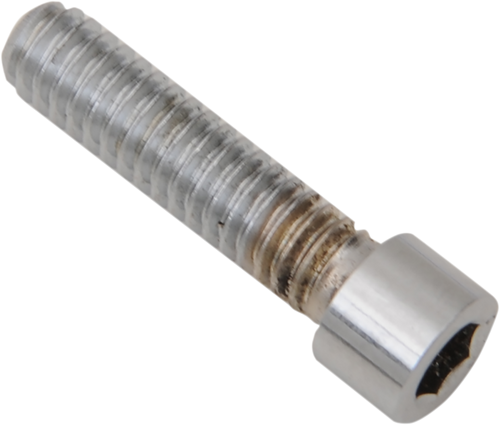 Drag Specialties Bolt Kit - Transmission Top - Chrome - Smooth - M8