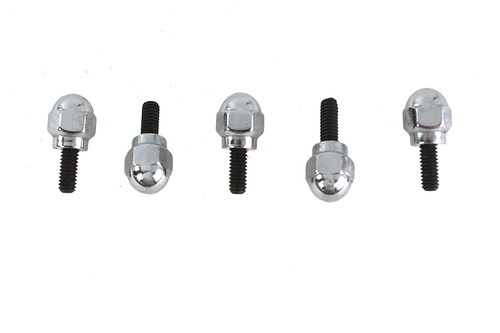 Colony - Acorn Screw Kit