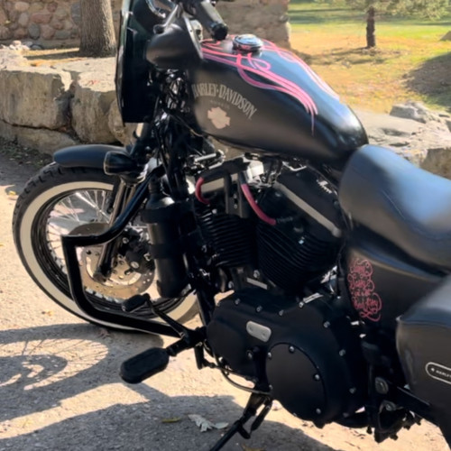 Hogworks Havoc 1.25" Engine Guard / Crash Bar for Harley® Sportster '04-'22