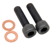 (5)DAMPER TUBE SCREW W/WASHER