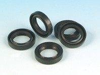 SEAL-TRANS TO STARTER-12051