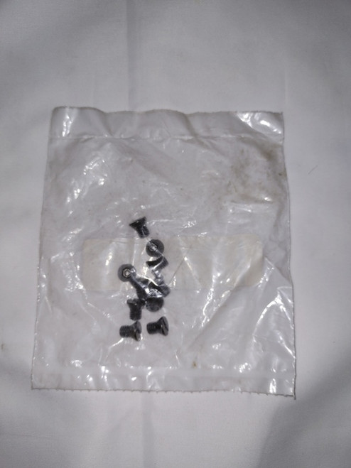 OUTER PINION PLUG SCREW R/T FW