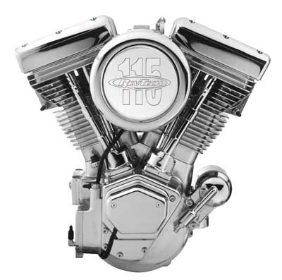 R/T 115 IN RAW & CHR.MOTOR