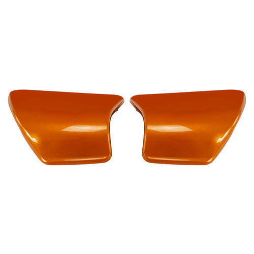 AMBER WHISKEY / GLOVE BOX DOORS FOR RG RGL 15-UP