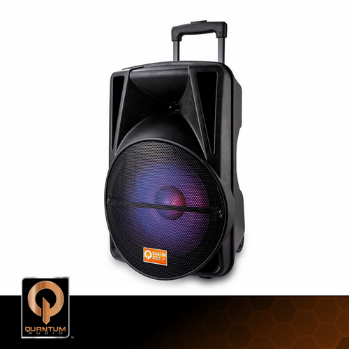 DB Drive QDJ12WP - 12" Portable Trolley Speaker