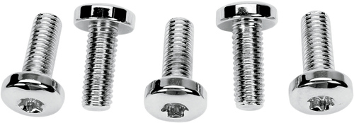 Rear Rotor - Torx - 97-09 Big Twin