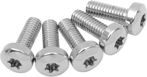 Rear Torx Rotor - 92-17 ST/FLT