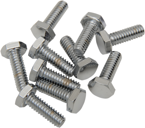 1/4"-20 X 7/8" Chrome Hex Head