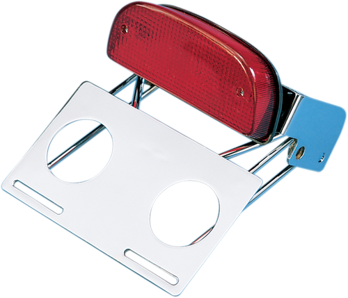 Taillight/Bracket Assembly - Chrome