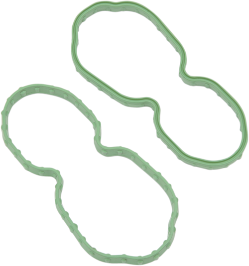 Seal for Fuel Pump Door - XL