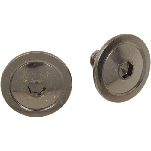 Z1R - F.I. Visor Screws - Kit