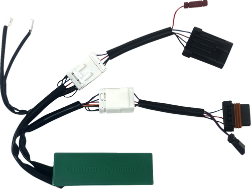 Custom Dynamics Triple Play Module - General