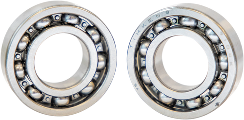 Outer Cam Bearings