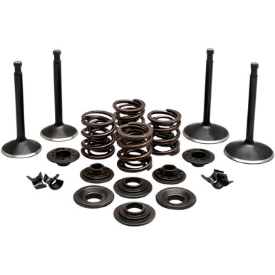 Plugaroo Valve Kit Complete Valve Kit