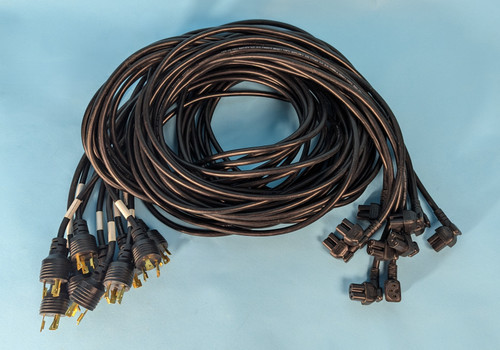 LOT OF 10 L6-20 TO RIGHT ANGLE C15 SERVER POWER CORDS: 250v, black, 12’ (Used)
