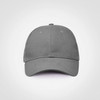 Promo 6 Panel Cap - Grey