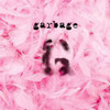 Garbage cover