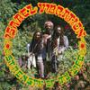 Strength of my Life - Israel Vibration