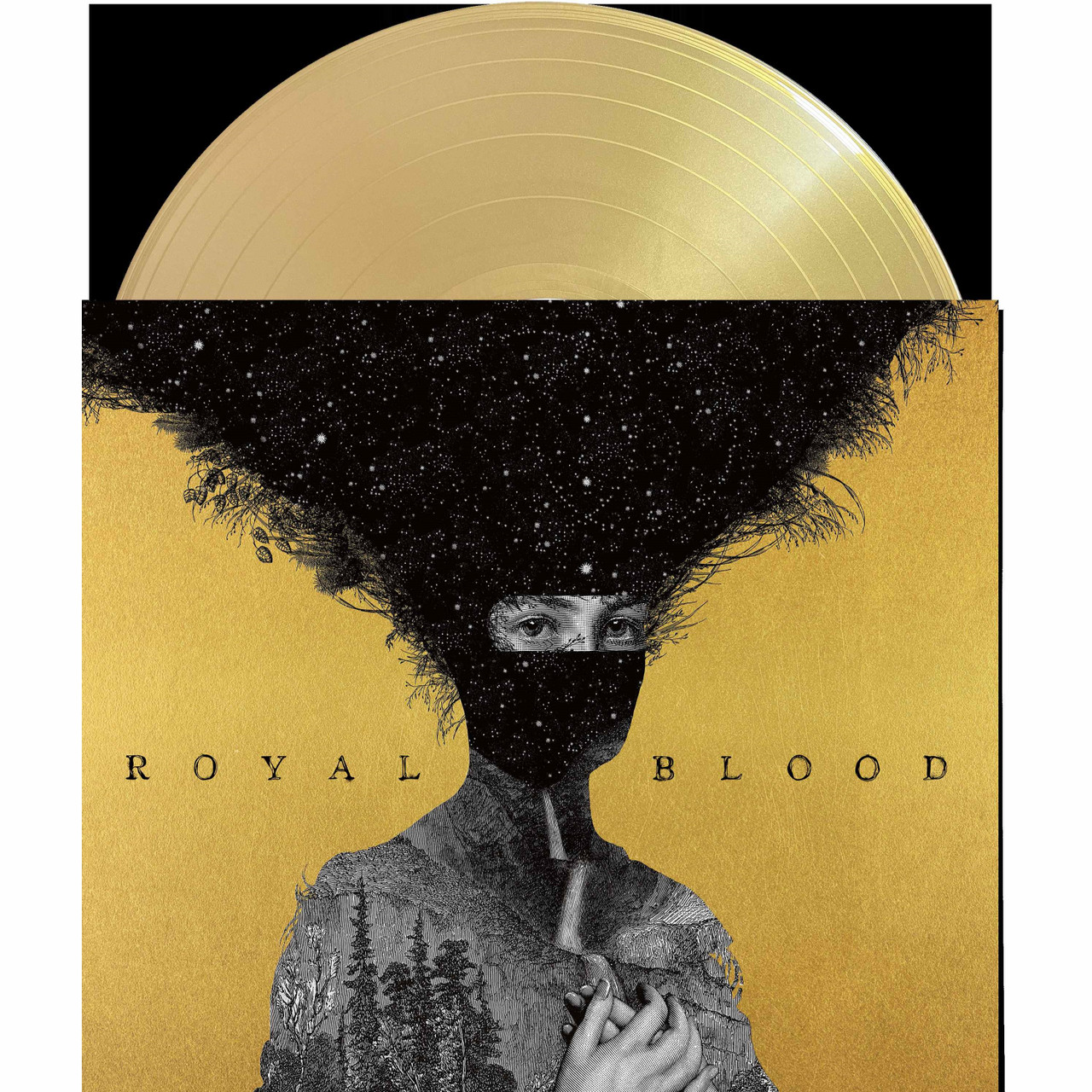 Royal Blood - Royal Blood (2LP 10th Anniversary Edition)