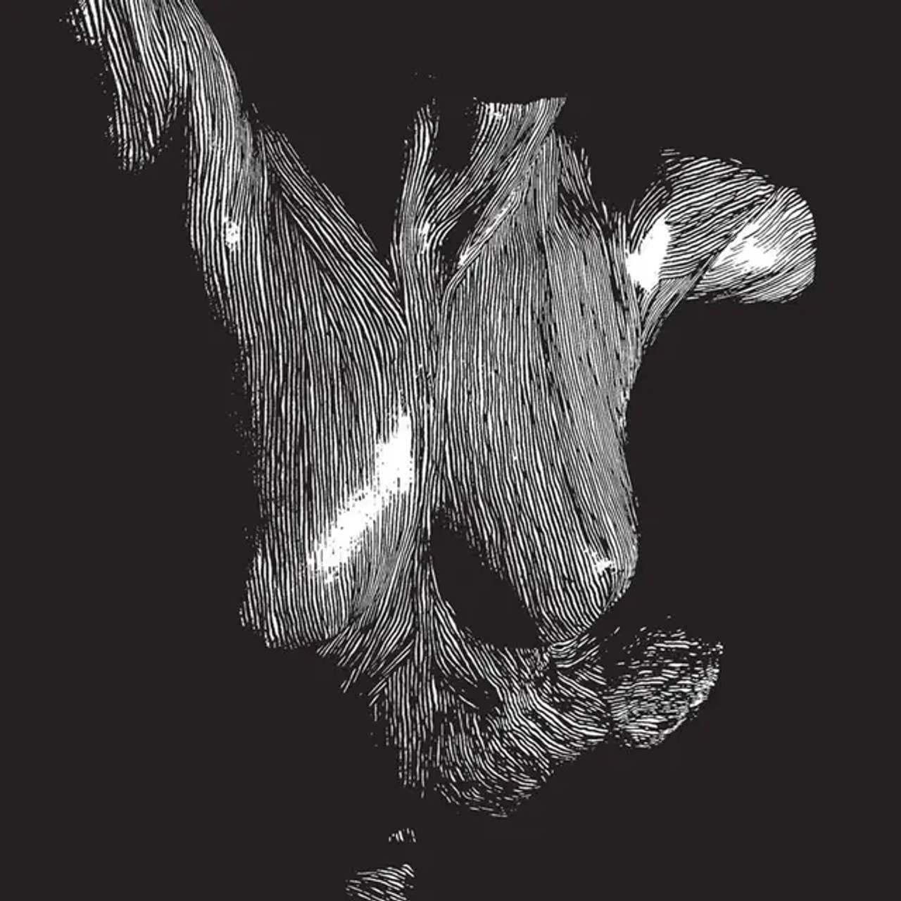 Self Preserved While The Bodies Float Up ( 15th Anniversary Edition )