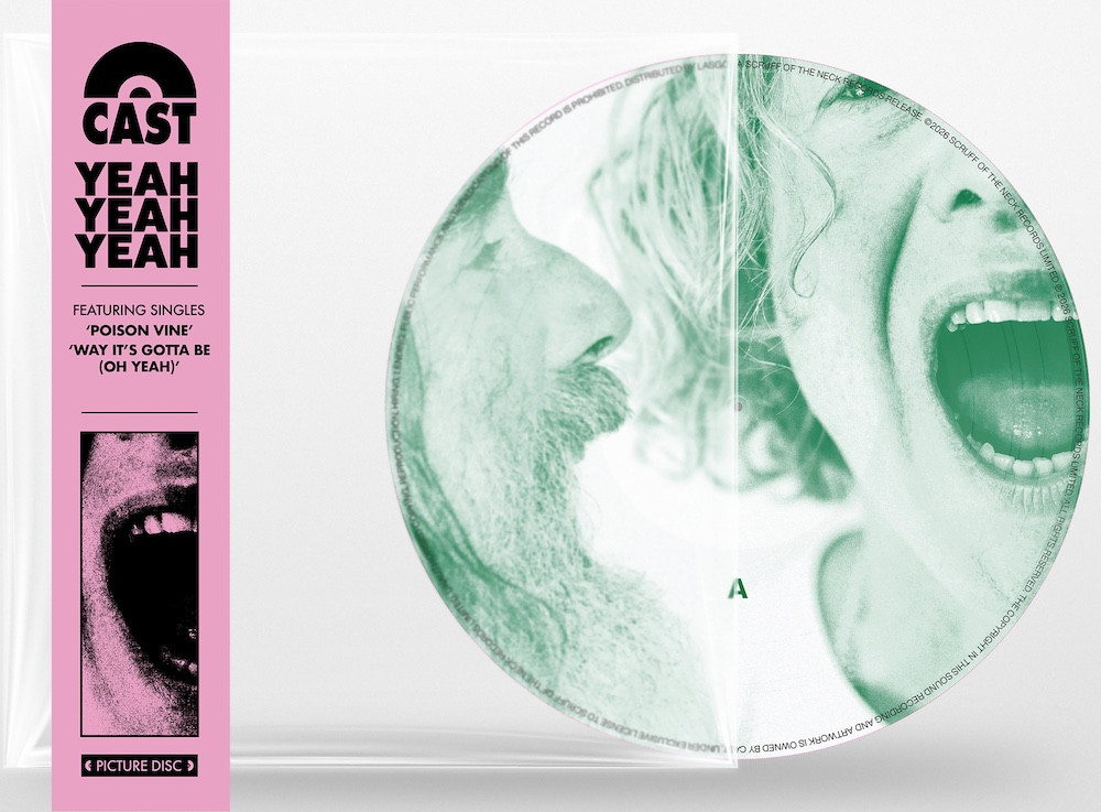 Picture disc