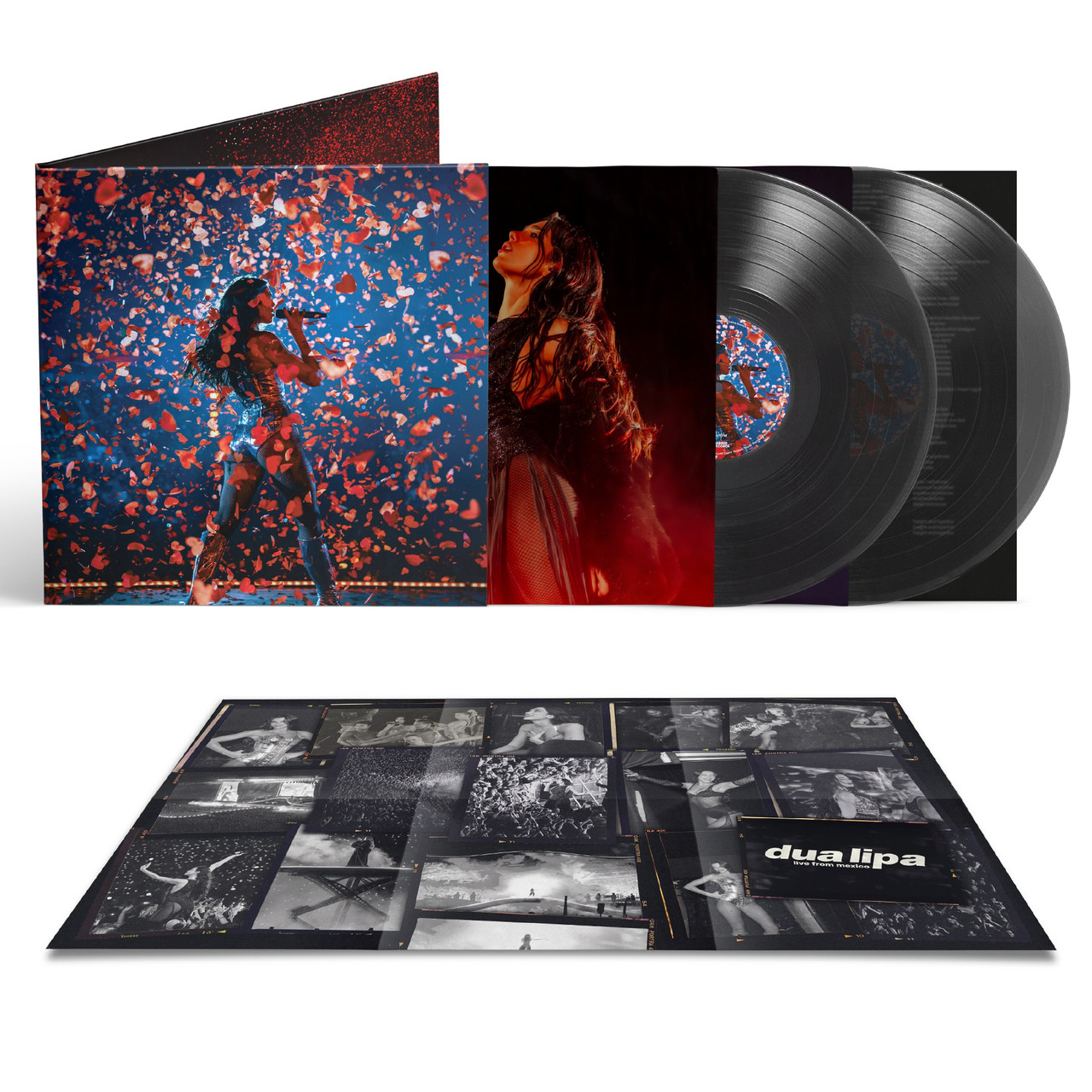 2LP Black Ice Vinyl