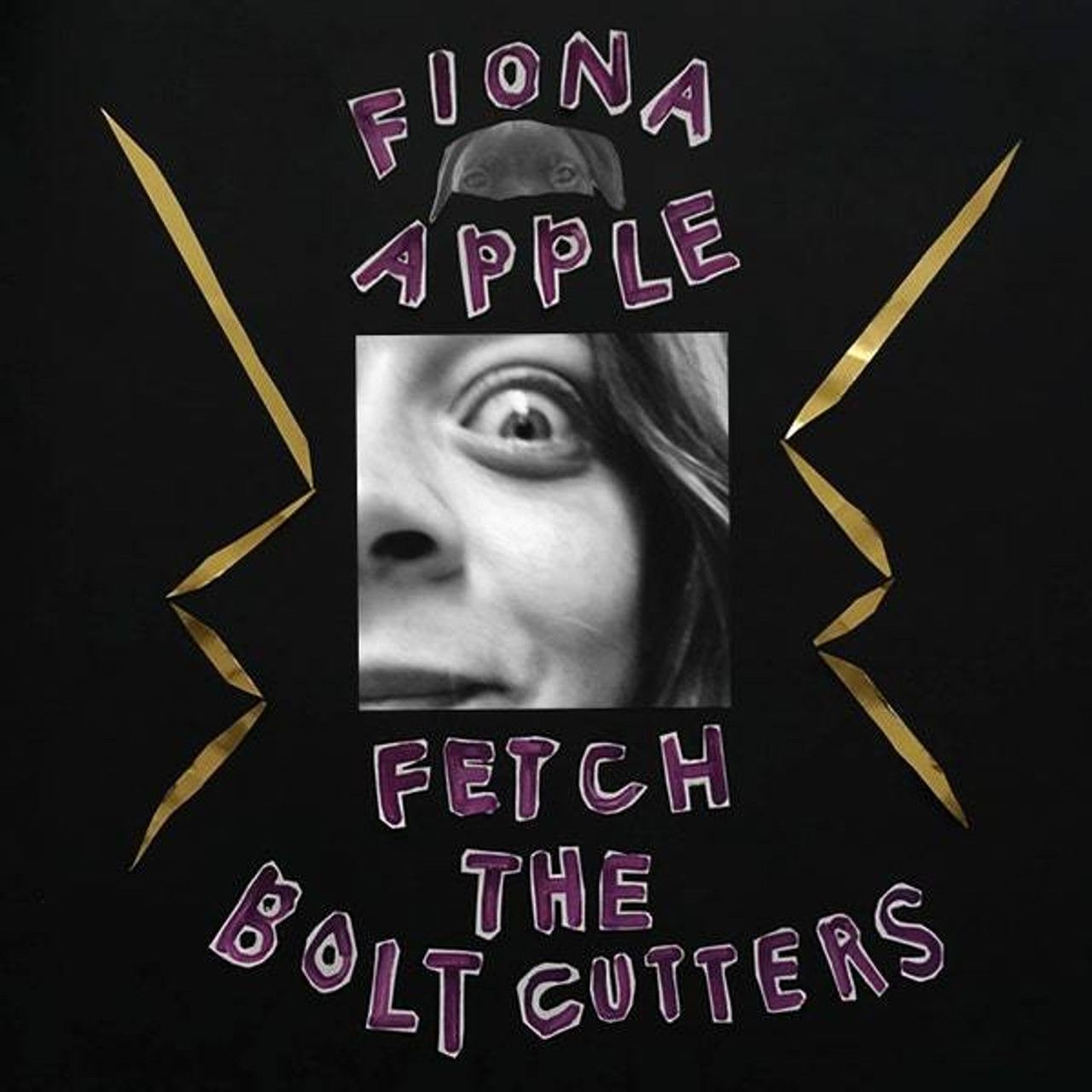 Fiona Apple - 'Fetch the Boltcutters' album cover