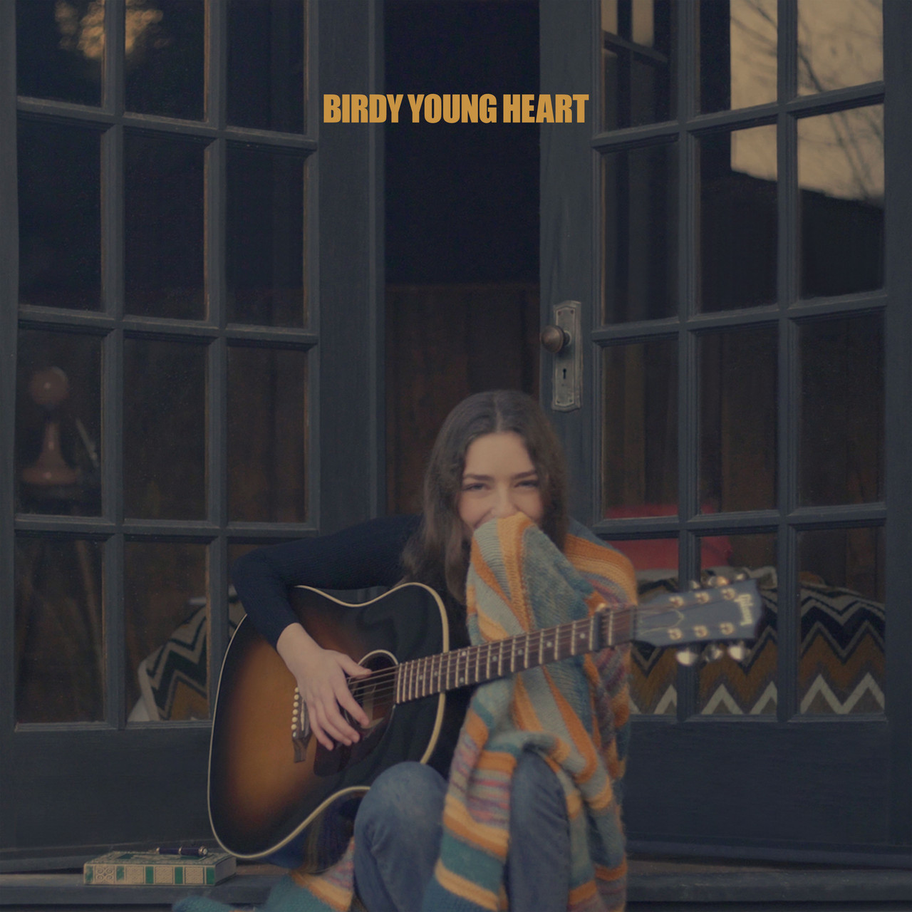 Birdy - Young Heart, album cover