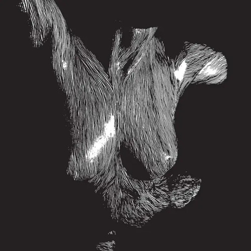 Self Preserved While The Bodies Float Up ( 15th Anniversary Edition )