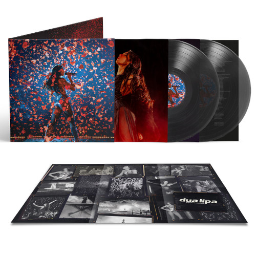 2LP Black Ice Vinyl