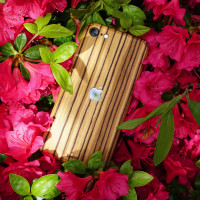 Toast wood iPhone SE (2nd gen) cover in zebrawood, lifestyle with flowers.