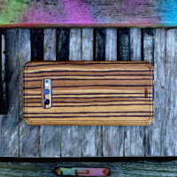 Samsung Galaxy S10e zebrawood