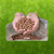 Green Planet Clay Balls / LECA  8-15mm  25ltr Bag