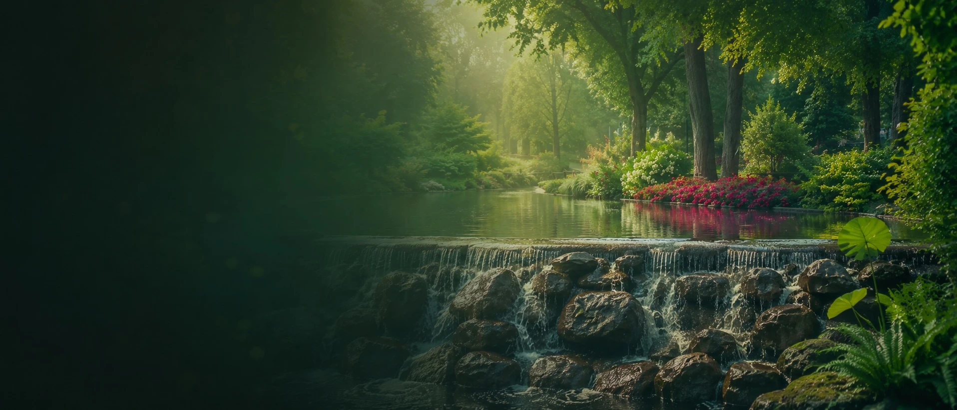 A planted pond with a waterfall in a Tasmanian backyard